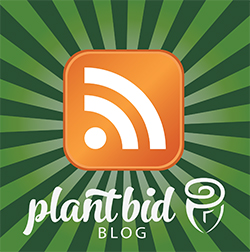 Plantbid Blog
